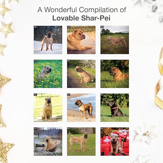 RED EMBER Shar-Pei 2026 Wall Calendar 12 Month | 12" x 24" Open | Thick & Sturdy Paper | Giftable | Cute Puppy Dog Calendar 2026