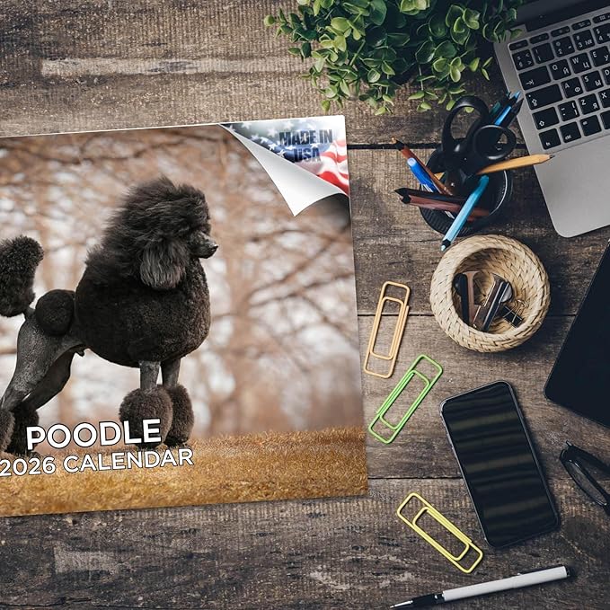 2025 2026 Poodle Calendar - Dog Breed Monthly Wall Calendar - 12" x 18" Open - Thick No-Bleed Paper - Giftable - Academic Teacher's Planner Calendar Organizing & Planning - Made in USA