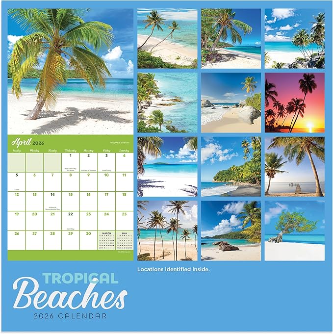 TF Publishing 2026 Tropical Beaches Mini Calendar with Monthly Grids for Appointments and Scheduling - Vertical Small Wall Calendar 2026 w/Premium Gloss Paper for Home and Office Organization - 7x7in