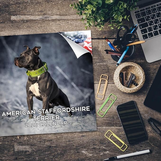 American Staffordshire Terrier Calendar 2026 by MegaCalendars – Monthly Dog Breed Wall Calendar, Made in USA