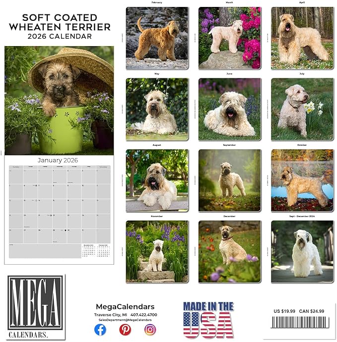 Softcoat Wheaten Terrier Calendar 2026 by MegaCalendars – Monthly Dog Breed Wall Calendar, Made in USA