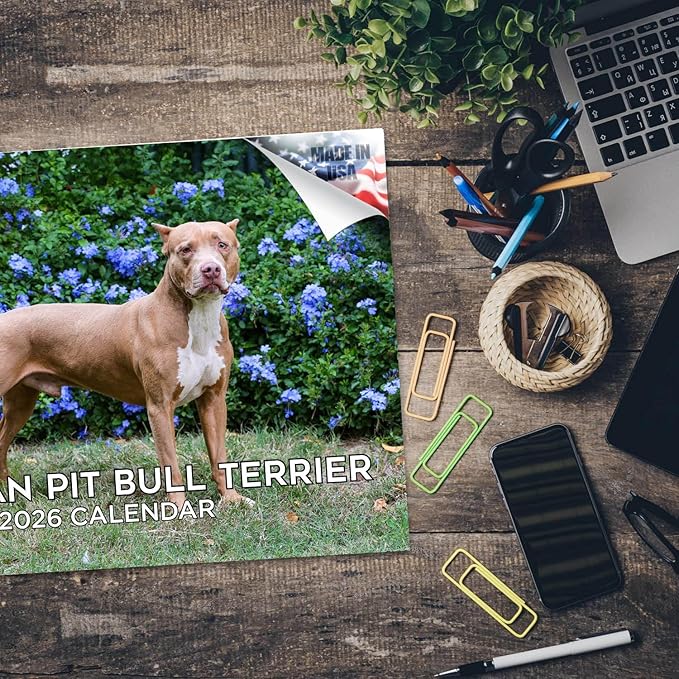 2025 2026 American Pit Bull Terrier Calendar - Dog Breed Monthly Wall Calendar - 12" x 18" Open - Thick No-Bleed Paper - Giftable - Academic Teacher's Planner Calendar Organizing & Planning - Made in USA
