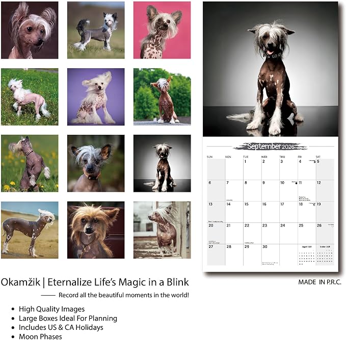 Wall Calendar 2026 Planner Calendar - Chinese Crested Dog Hangable Monthly Wall Calendar with Large Blocks for Organizing & Planning, Academic Schedule, Home, Office & family, Thick & Sturdy Paper (12"x24" Open)