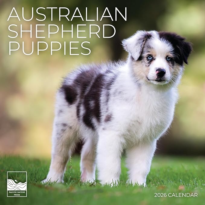 Australian Shepherd Puppy 2026 Wall Calendar | 12" x 24" Open | Dog Photography Thick & Sturdy Paper for Planning | Office Kitchen Decor or Gift | Pacific Waters Press (Australian Shepherd Puppies)