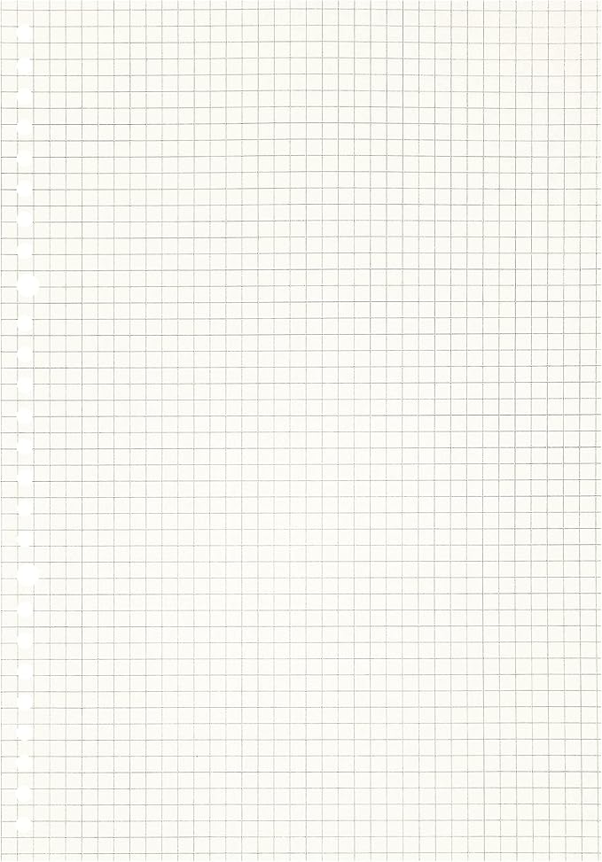 Zelten 2 Pack B5 120 Sheets/240 Pages Squared Loose Leaf Punched Paper Refills Paper for 26 Hole Binder Personal Organizer Diary Notebook Refillable Planner