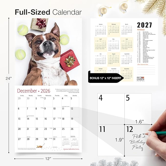 RED EMBER American Staffordshire Terriers 2026 Wall Calendar 12 Month | 12" x 24" Open | Thick & Sturdy Paper | Giftable | Cute Puppy Dog Calendar 2026