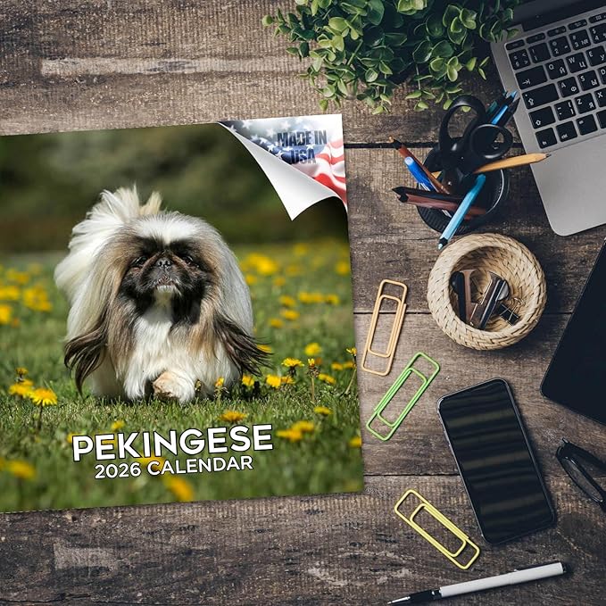 Pekingese Calendar 2026 by MegaCalendars – Monthly Dog Breed Wall Calendar, Made in USA