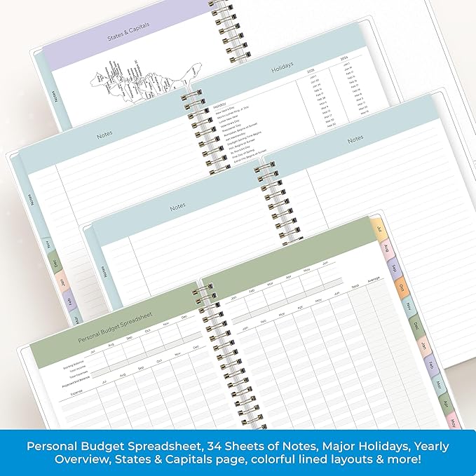 Blue Sky 2025-2026 Weekly and Monthly Academic Year Planner Calendar, July 2025 - June 2026, 5.8" x 8.6", Flexible Cover, Wirebound, Laminated Tabs, Storage Pocket, Borealis