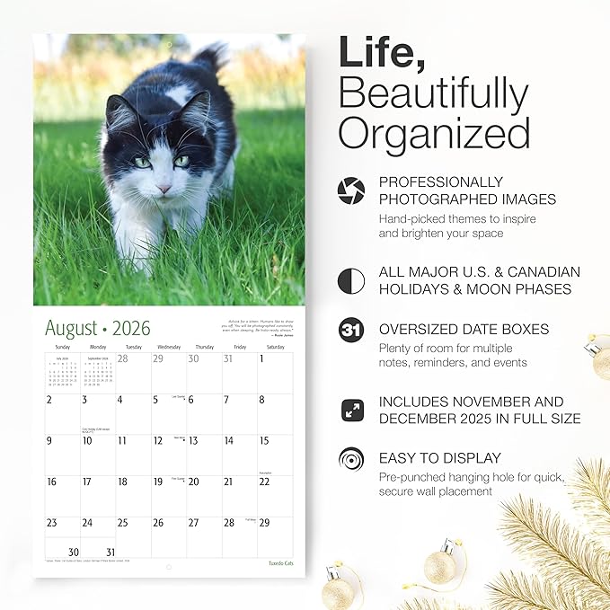 RED EMBER Tuxedo Cats 2026 Wall Calendar 12 Month | 12" x 24" Open | Thick & Sturdy Paper | Giftable | Cute Kitten Cat Calendar 2026
