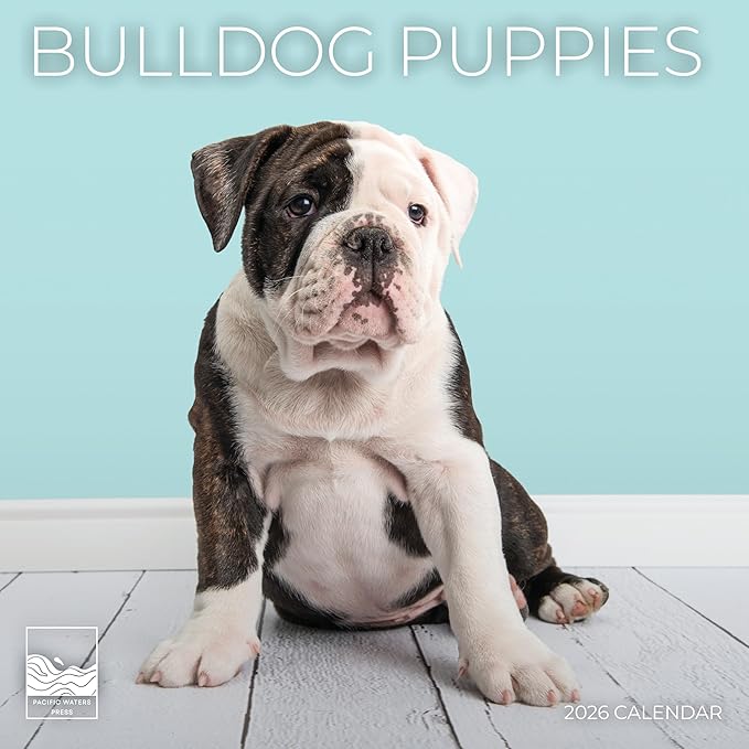 Bulldog Puppy 2026 Wall Calendar | 12" x 24" Open Calendar | Dog Photography Thick & Sturdy Paper for Organizing & Planning | Office Kitchen Decor or Gift | Pacific Waters Press (Bulldog Puppies)