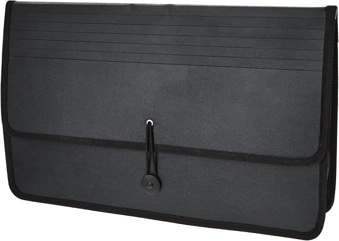 Lion Expand-N-File Poly Expanding Wallet, Legal (9-1/2 x 15 Inches), 2-1/2 Inches Gusset, Black, 1 Wallet (48150-BK)