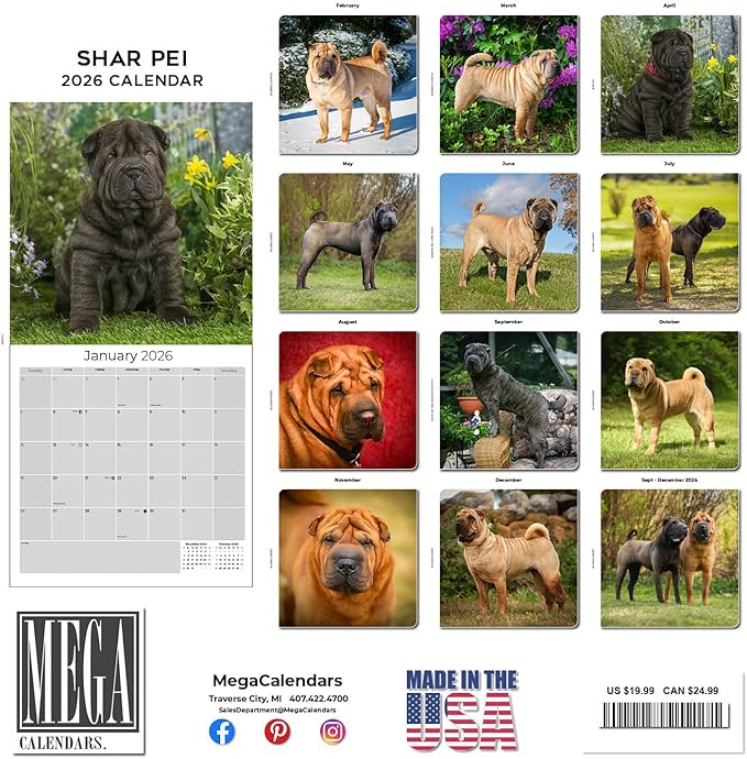 Shar Pei Calendar 2026 by MegaCalendars – Monthly Dog Breed Wall Calendar, Made in USA