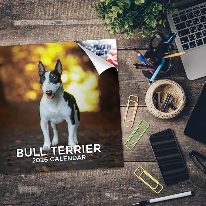 Bull Terrier Calendar 2026 by MegaCalendars – Monthly Dog Breed Wall Calendar, Made in USA