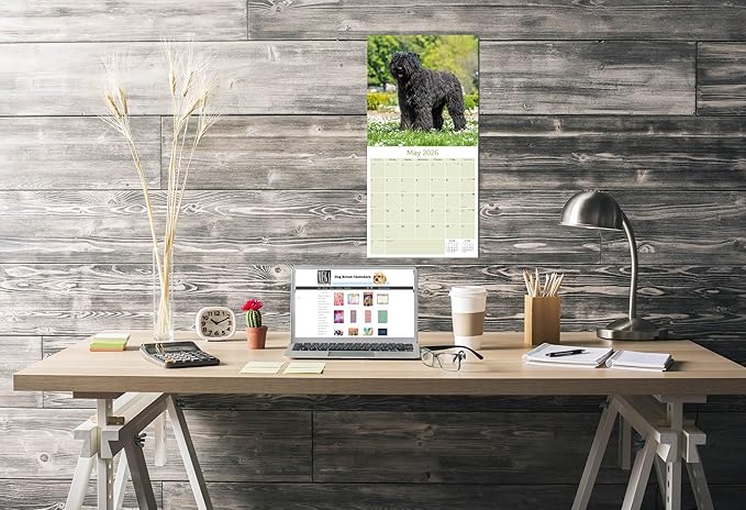 Bouvier Des Flandres Calendar 2026 by MegaCalendars – Monthly Dog Breed Wall Calendar, Made in USA