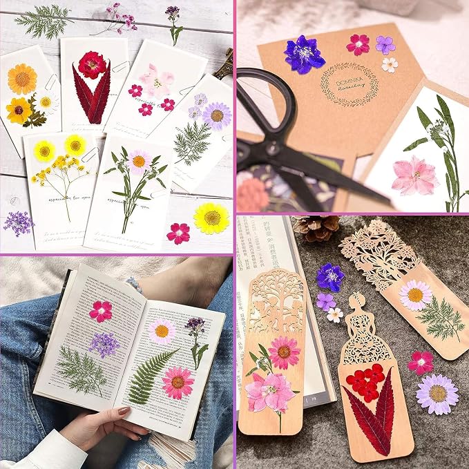 11 Types 40pc Colourful Dried Pressed Flowers for Resin Real Flowers for DIY Bookmark Scrapbook Photo Frame Jewelry Vase Candle Making Nail Card Art Craft Floral Decors