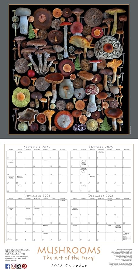 Mushrooms 2026 Wall Calendar, 12-Month Botanical & Nature Photography Calendar: The Art of The Fungi by Moritz Schmid, 12" × 12" Organizer for Home and Office