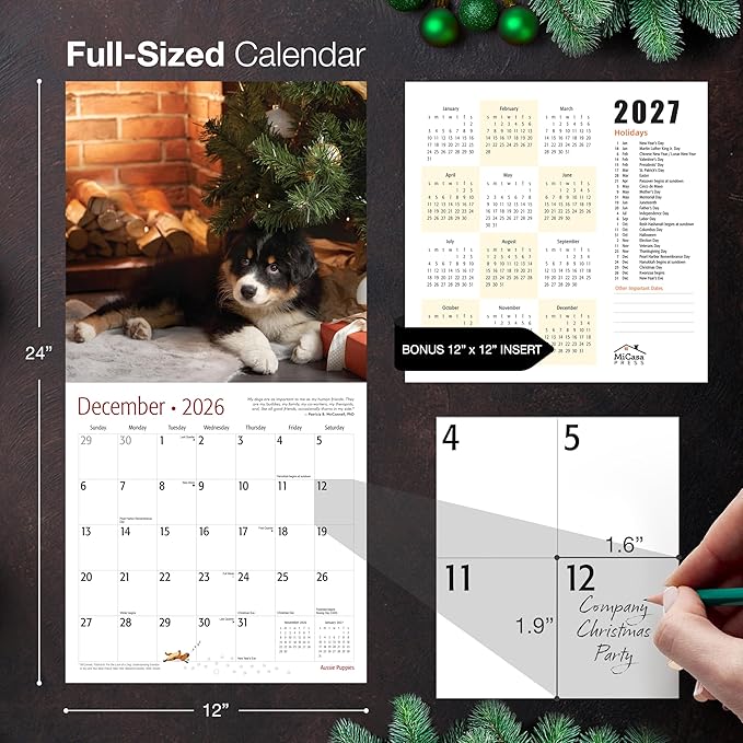 MICASA PRESS Aussie Puppies Australian Shepherds 2026 Wall Calendar 12 Month | 12" x 24" Open | Thick & Sturdy Paper | Giftable | Cute Puppy Dog Calendar 2026