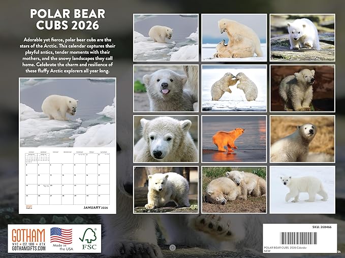 Baby Polar Bear Cubs Calendar 2026 Monthly Wall Calender 12 Month | American Made In The USA