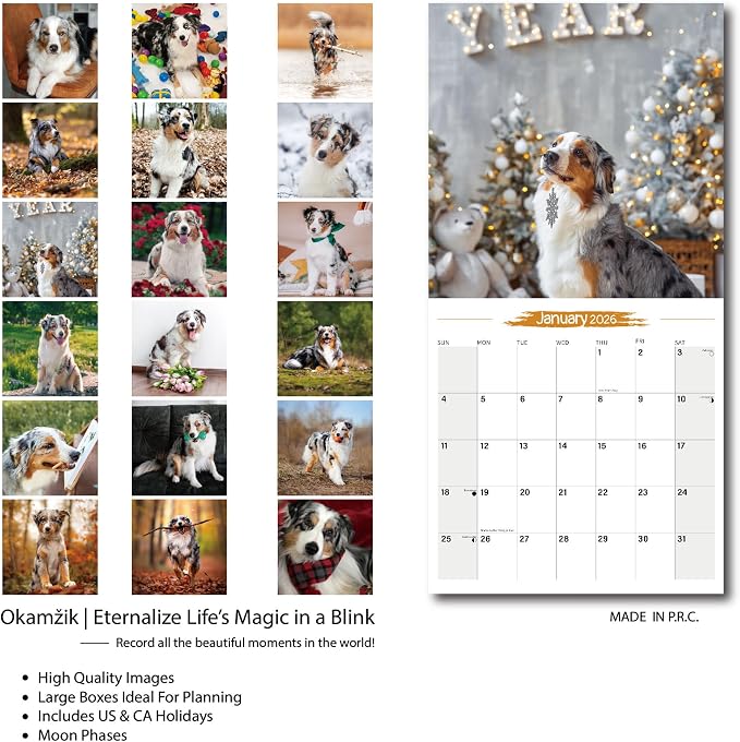 2025-2026 Wall Calendar Australian Shepherd Planner Calendar, Hangable Monthly Wall Calendar with Large Blocks for Organizing & Planning, Academic Schedule, Home, Office & family, Thick & Sturdy Paper (12"x24" Open)