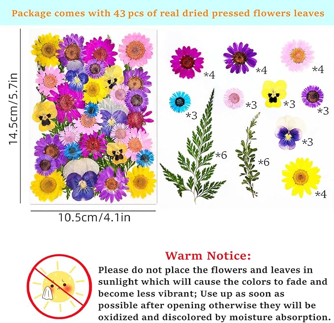 Cardstock Blank Bookmarks Set, 12 Pcs DIY White Craft Bookmarks for Pressed Flowers, Dried Floral Book Mark Making Kit, Book Marks for Dried Floral, Gifts for Book Lovers (Classic Style)