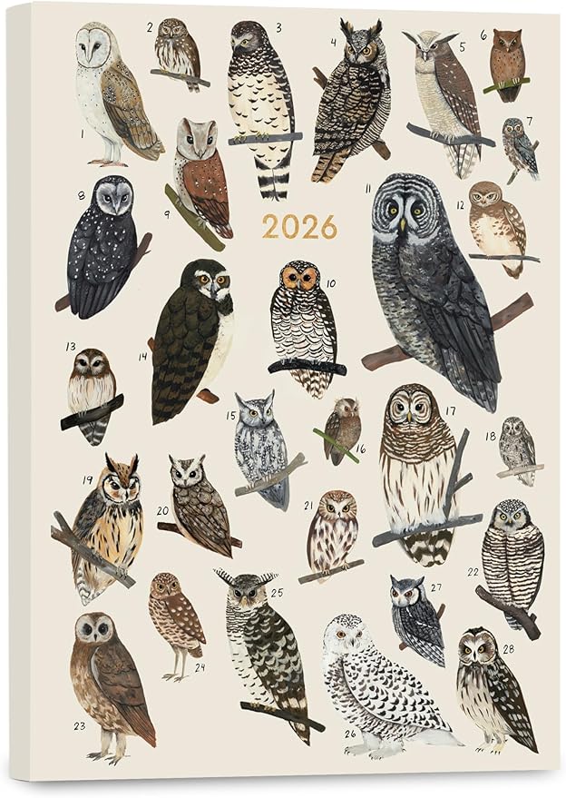 High Note 2026 Planner, 12-Month Weekly & Monthly Flexible Cover Calendar Book with Goal & Project Planning Pages, 2026, 5.75" x 7.5", Orders of The Animals