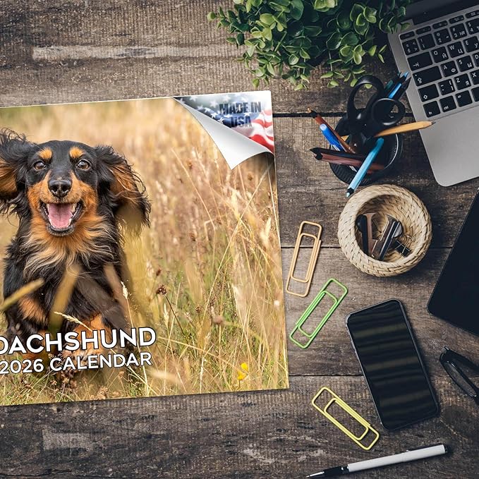 2025 2026 Dachshund Calendar - Dog Breed Monthly Wall Calendar - 12" x 18" Open - Thick No-Bleed Paper - Giftable - Academic Teacher's Planner Calendar Organizing & Planning - Made in USA