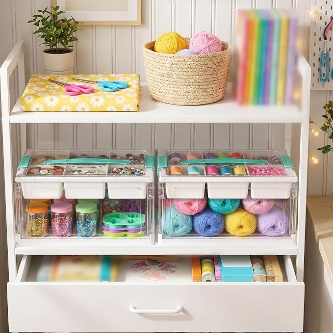 Tebery 2 Tier Plastic Craft Storage Organizer, Clear Foldable Arts Supply Container Box with Adjustable Dividers, Portable Sewing Tools Bin with Lids and Handle for Home, Office, Travel