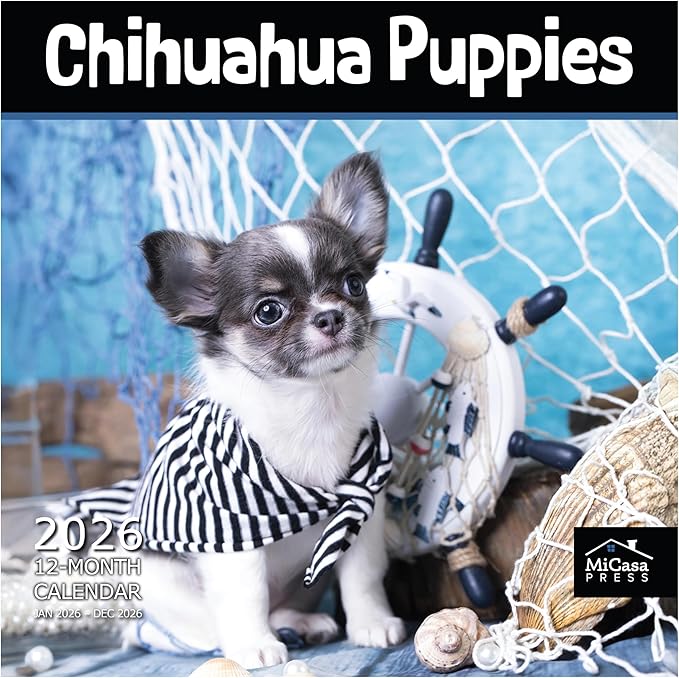 MICASA PRESS Chihuahua Puppies 2026 Wall Calendar 12 Month | 12" x 24" Open | Thick & Sturdy Paper | Giftable | Cute Puppy Dog Calendar 2026