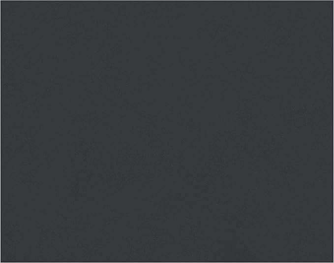 Peacock 6-Ply Railroad Board, 22"X28", Black, 25 Sheets