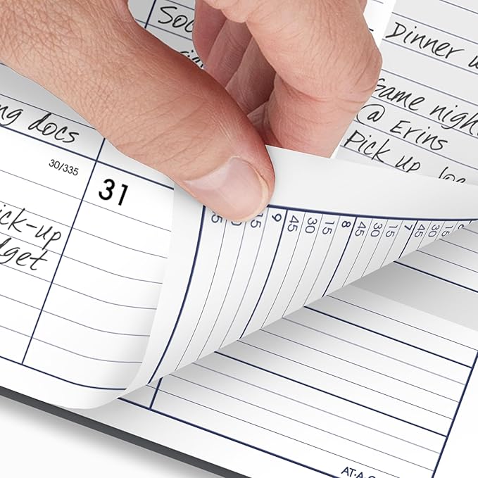 AT-A-GLANCE 2026 Appointment Book Planner, Weekly & Monthly, 8-1/2" x 11", Large, Quarter-Hourly, DayMinder, Gray (GC5200726)