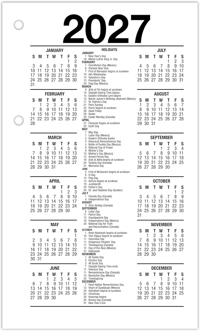 AT-A-GLANCE 2027 Desk Calendar Refill for E1700 Base, Daily Desk Pad Refill, 3.5" x 6", Standard, Loose-Leaf (E7175027)