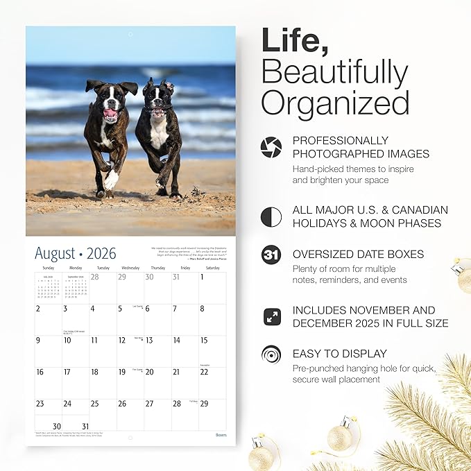 RED EMBER Boxers 2026 Wall Calendar 12 Month | 12" x 24" Open | Thick & Sturdy Paper | Giftable | Cute Puppy Dog Calendar 2026