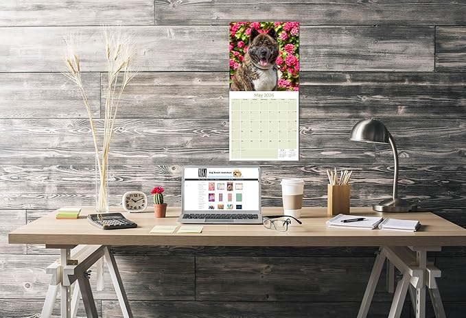 Akita Calendar 2026 by MegaCalendars – Monthly Dog Breed Wall Calendar, Made in USA