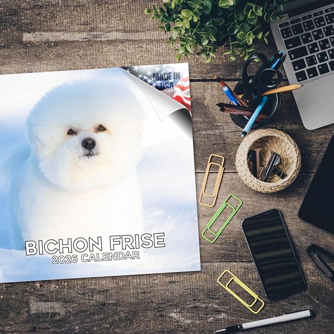 Bichon Frise Calendar 2026 by MegaCalendars – Monthly Dog Breed Wall Calendar, Made in USA