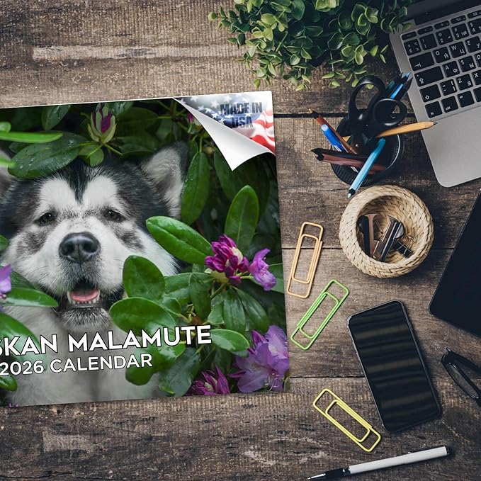 2025 2026 Alaskan Malamute Calendar - Dog Breed Monthly Wall Calendar - 12" x 18" Open - Thick No-Bleed Paper - Giftable - Academic Teacher's Planner Calendar Organizing & Planning - Made in USA