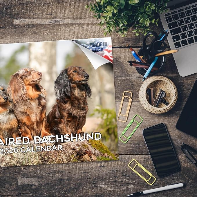 2025 2026 Dachshund Longhaired Calendar - Dog Breed Monthly Wall Calendar - 12" x 18" Open - Thick No-Bleed Paper - Giftable - Academic Teacher's Planner Calendar Organizing & Planning - Made in USA