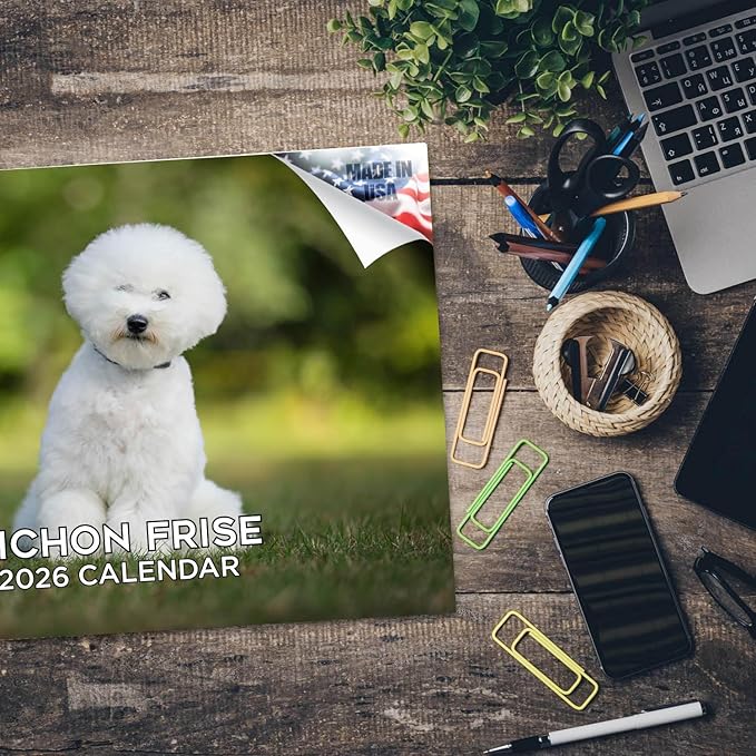 2025 2026 Bichon Frise Calendar - Dog Breed Monthly Wall Calendar - 12" x 18" Open - Thick No-Bleed Paper - Giftable - Academic Teacher's Planner Calendar Organizing & Planning - Made in USA