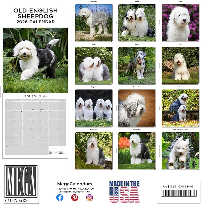 Old English Sheepdog Calendar 2026 by MegaCalendars – Monthly Dog Breed Wall Calendar, Made in USA