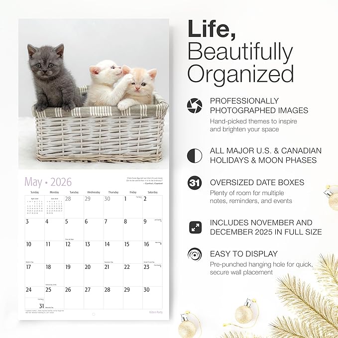 RED EMBER Kitten Party 2026 Wall Calendar 12 Month | 12" x 24" Open | Thick & Sturdy Paper | Giftable | Cute Kitten Cat Calendar 2026