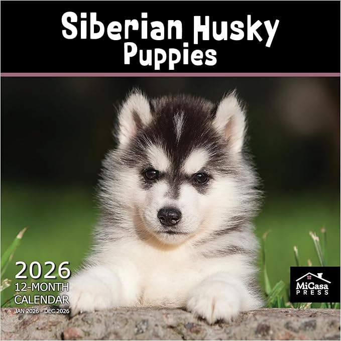 MICASA PRESS Siberian Husky Puppies 2026 Wall Calendar 12 Month | 12" x 24" Open | Thick & Sturdy Paper | Giftable | Cute Puppy Dog Calendar 2026
