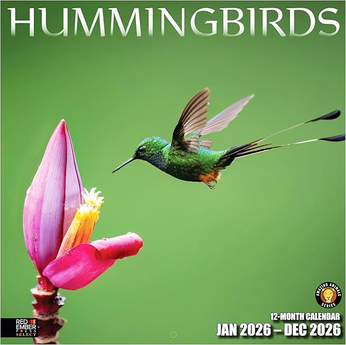 RED EMBER Select - Hummingbirds 2026 Wall Calendar 12 Month | 12" x 24" Open | Thick & Sturdy Paper | Giftable | Bird Calendar 2026