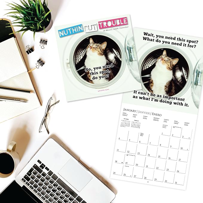 Graphique 2026 Nuthin' But Trouble Mini Wall Calendar | 7” x 7” | Thick Paper | Home & Office Organizer | Large Monthly Grid | 3 Languages & Marked Holidays | 4 Month Preview Page for 2027