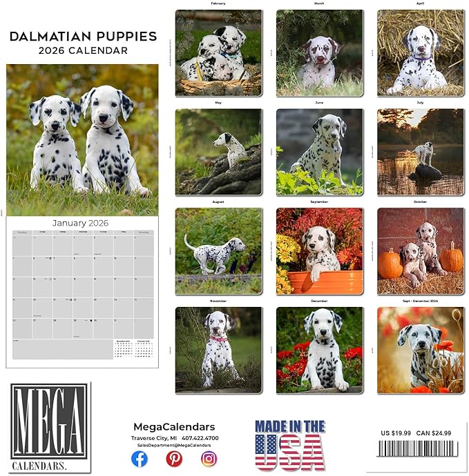 Dalmatian Pups Calendar 2026 by MegaCalendars – Monthly Dog Breed Wall Calendar, Made in USA