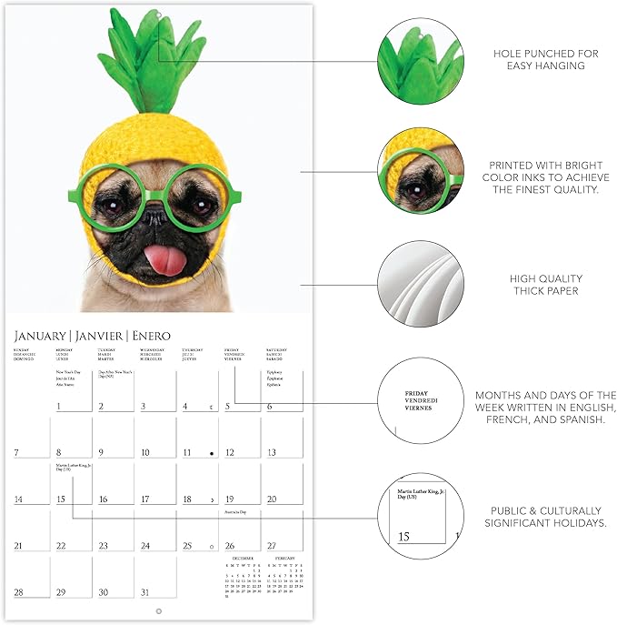Graphique 2024 Pawparazzi Mini Wall Calendar | 7” x 7” | Thick Paper | Home & Office Organizer | Large Monthly Grid | 3 Languages & Marked Holidays | 4 Month Preview Page for 2025