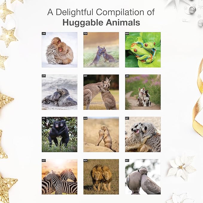 RED EMBER Animal Hugs 2026 Wall Calendar 12 Month | 12” x 24” Open | Thick & Sturdy Paper | Giftable | Cute Funny Kids Calendar 2026