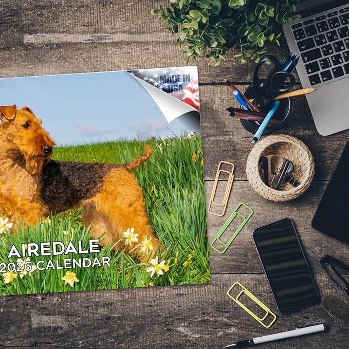 2025 2026 Airedale Calendar - Dog Breed Monthly Wall Calendar - 12" x 18" Open - Thick No-Bleed Paper - Giftable - Academic Teacher's Planner Calendar Organizing & Planning - Made in USA