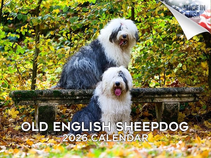 2025 2026 Old English Sheepdog Calendar - Dog Breed Monthly Wall Calendar - 12" x 18" Open - Thick No-Bleed Paper - Giftable - Academic Teacher's Planner Calendar Organizing & Planning - Made in USA