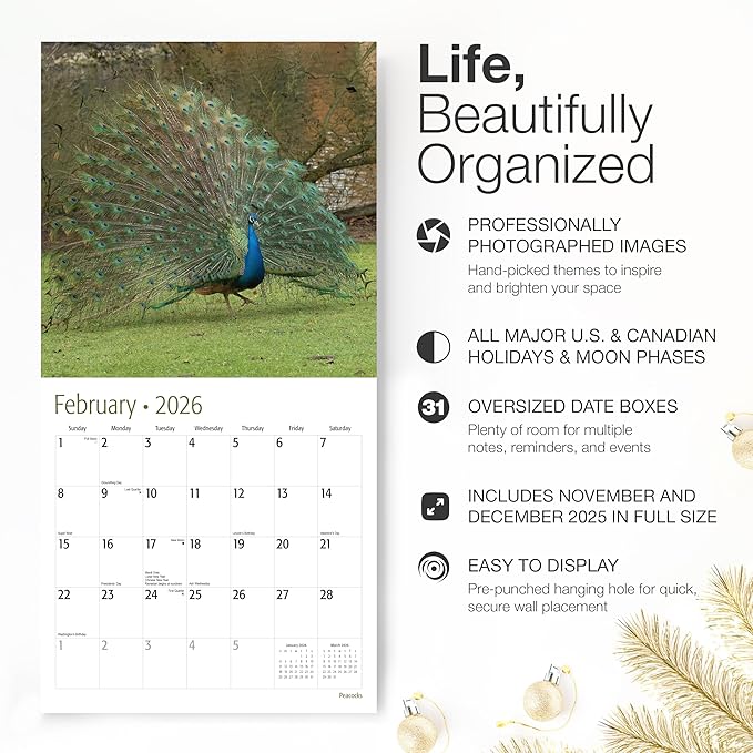 RED EMBER Peacocks 2026 Wall Calendar 12 Month | 12" x 24" Open | Thick & Sturdy Paper | Giftable | Bird Calendar 2026