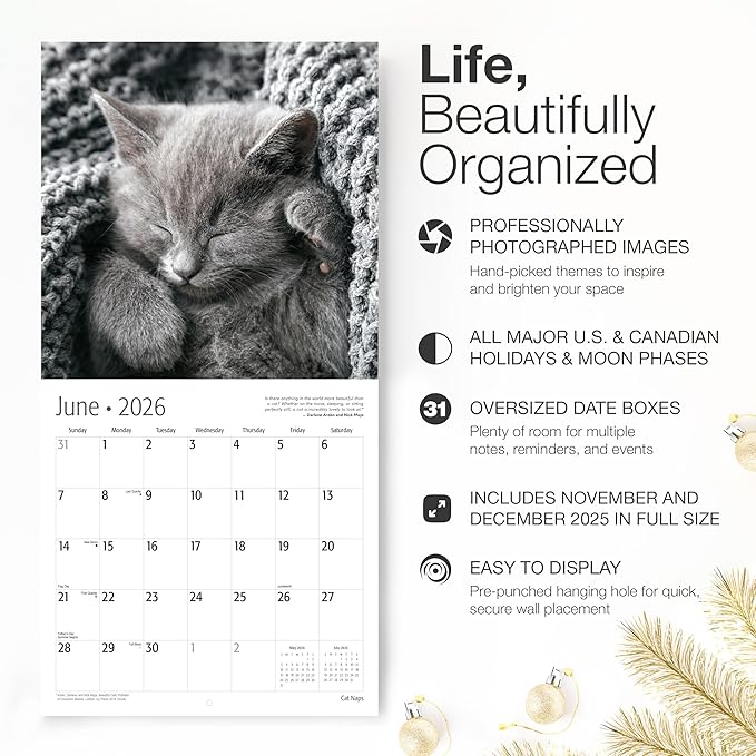 RED EMBER Select - Cat Naps 2026 Wall Calendar 12 Month | 12" x 24" Open | Thick & Sturdy Paper | Giftable | Cute Funny Kitten Cat Calendar 2026