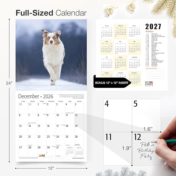 RED EMBER Australian Shepherds Aussies 2026 Wall Calendar 12 Month | 12" x 24" Open | Thick & Sturdy Paper | Giftable | Cute Puppy Dog Calendar 2026